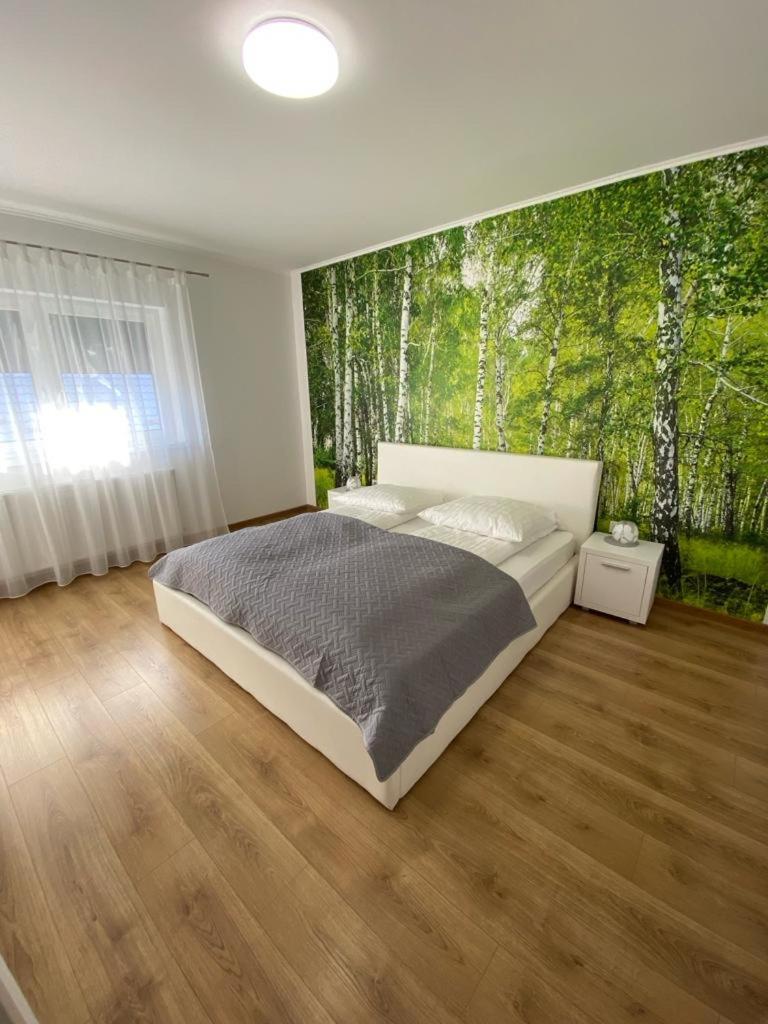 Apartament Nala Медиаш Экстерьер фото